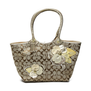 COACH Tote Bag F16276 canvas Khaki x Gold Signature Shoulder back Appl