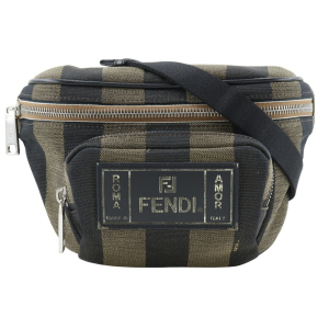 FENDI Waist bag 7VA446 Nylon canvas Brown Sling bag Pecan Stripe unise